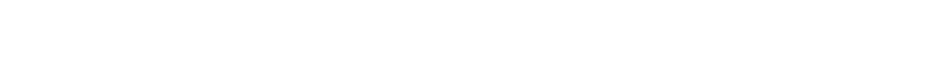 Online delivery service